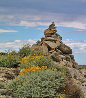 短信轰在线轰炸免费下载